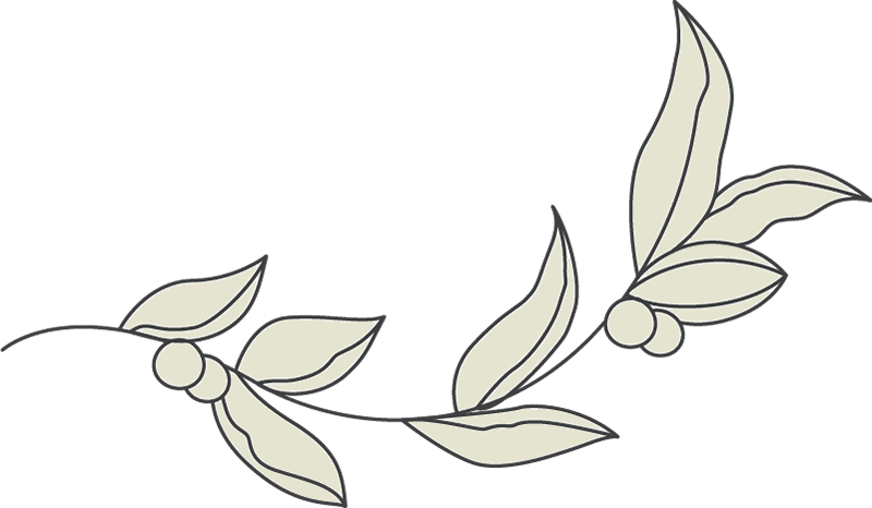 leaves 6 leaves 6